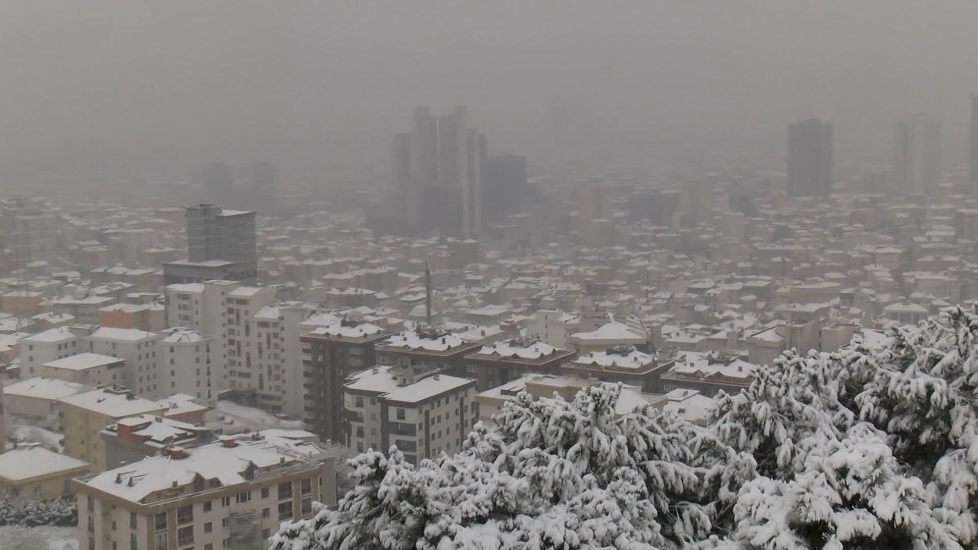 Kartal beyaza büründü